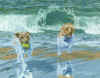 DogsSmall.jpg (349905 bytes)
